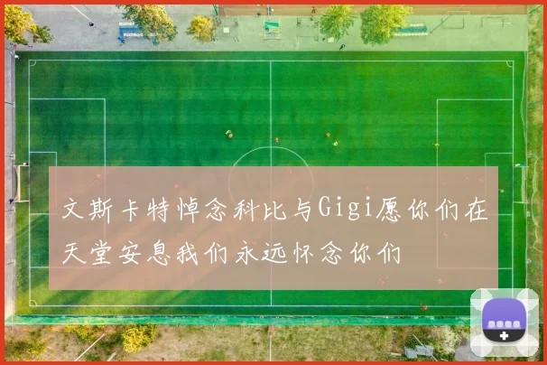 文斯卡特悼念科比与Gigi愿你们在天堂安息我们永远怀念你们